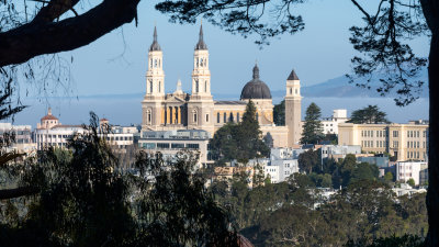 Buena Vista Park Views