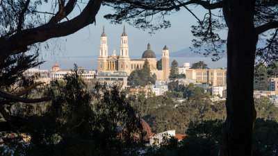 Buena Vista Park Views