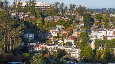 Cole Valley
