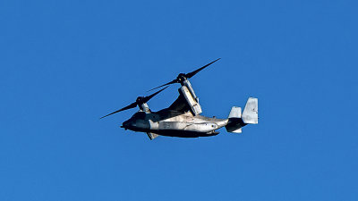 Osprey - Marines