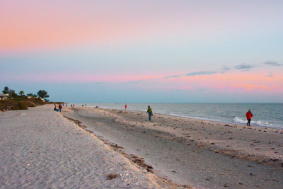 Sanibel Island 2014