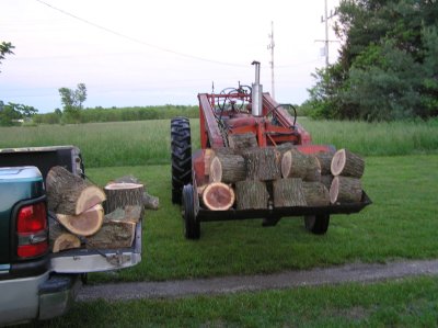 P1010035_1.jpg
