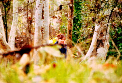 BBinwoods001.jpg