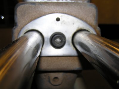 P1010029_5.jpg