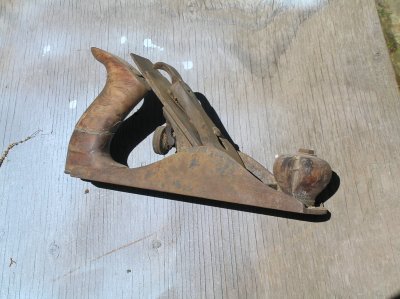 P1010037.jpg
