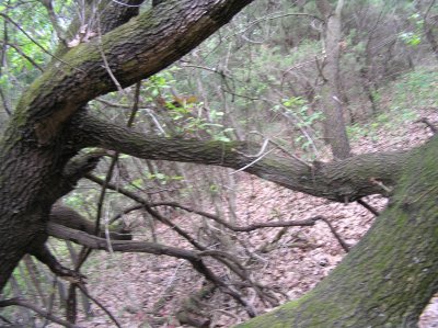 P1010031 (1).jpg