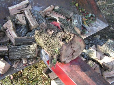 P1010032 (2).jpg
