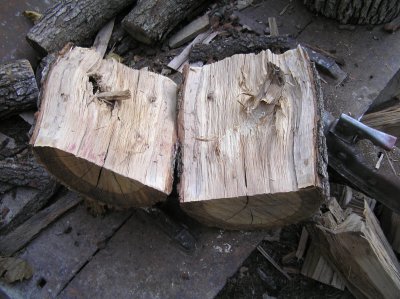 P1010036 (1).jpg