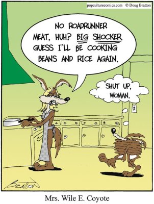 WilyCoyote.jpg