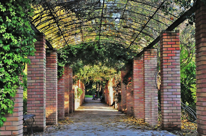 The national garden in Athens. 