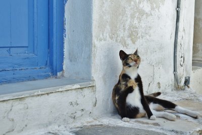 Relaxing in the alleys of Naoussa.