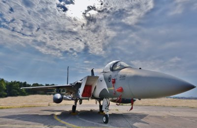 Royal Saudi Air Force  -  McDonnell Douglas  F-15 SA