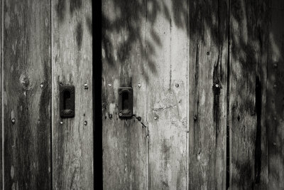 Ashridge 02