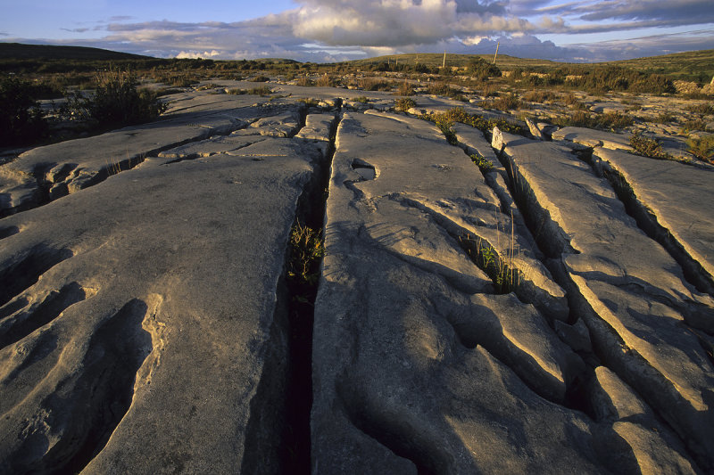 The Burren