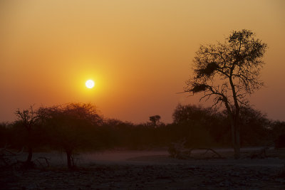 African Sunset