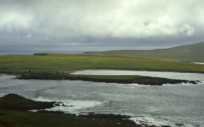 Shetland Islands - Noss