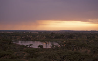 Serengeti N.P. - Seronera