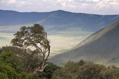 Ngorongoro Crater