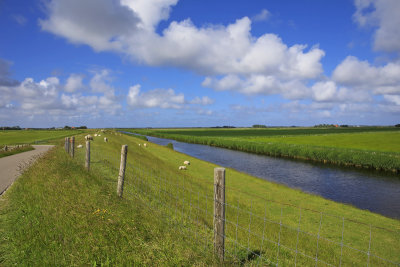 Texel Landscape