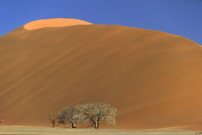 Sossusvlei Dunes