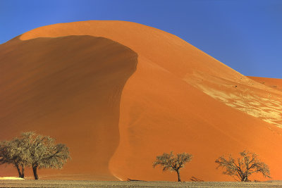 Sossusvlei Dunes