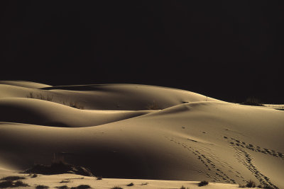 Sossusvlei Dunes