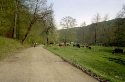 Rumunia0059.jpg