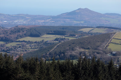 Great Sugar Loaf from Ticknock