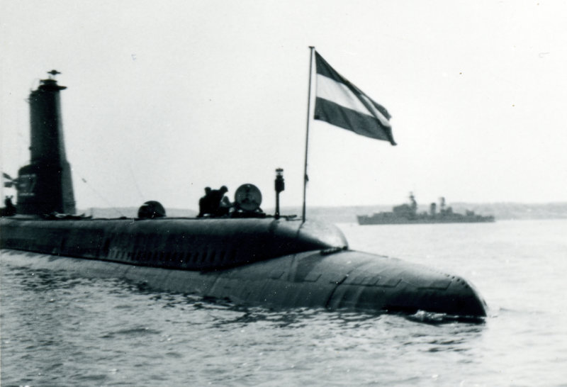 Tijgerhaai1Portsmouth1962.jpg