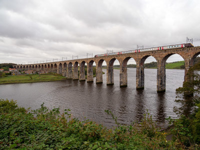 BerwickViaduct.jpg