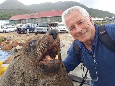 Seraf van der Putten; Cape fur seal