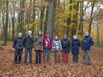 Kraanvogels groep