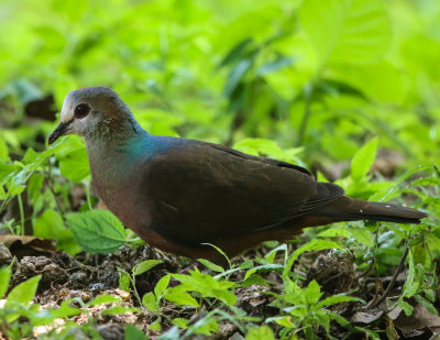 g12/25/1167325/3/170785874.n7UIOBLu.jpg