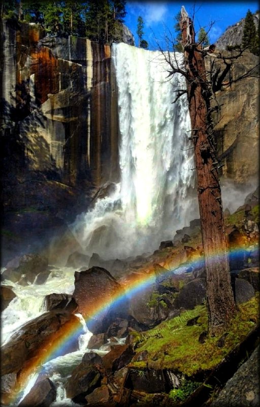 VERTICAL VERNAL FALLS