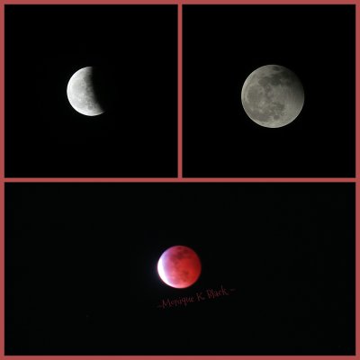 SUPER WOLF BLOOD MOON