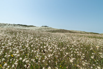 D819362.jpg