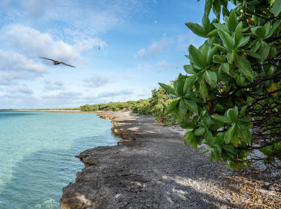 The walk around the lagoon to the CW camp (10/28/2018)