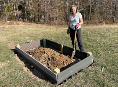 Anne digging in the raised beds (3/5/2022)