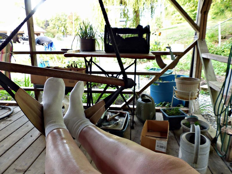 29 Sep Enjoying the deck