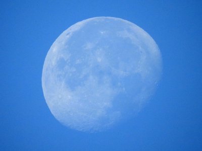 20 Jul Tranquility base here!