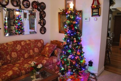 10 Dec Two trees?