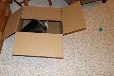 08 Jan Minnee's new hiding place