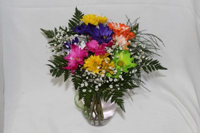 09 Jan This weeks beauties