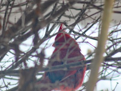 29 Jan You can hide....