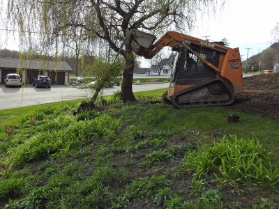 29 Apr Lilac bush removal