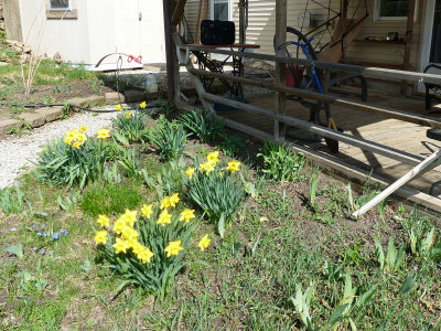 10 Apr Minnee enjoying the deck