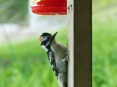 10 May Posing on a post