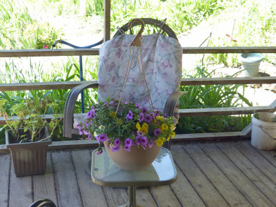 24 May Hanging basket, sitting?