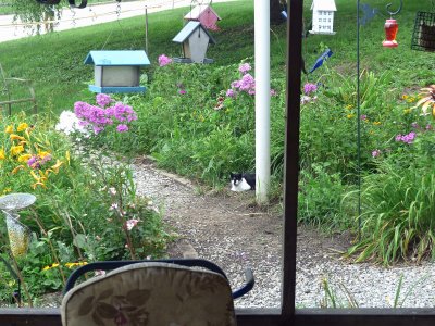 25 Jul Garden guard