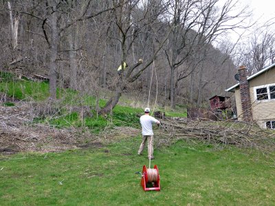 1 May Tree coming down